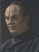Phlox