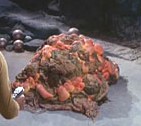Horta