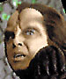 Miradorn