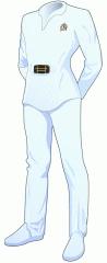 Uniforme standard