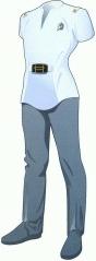 Uniforme standard